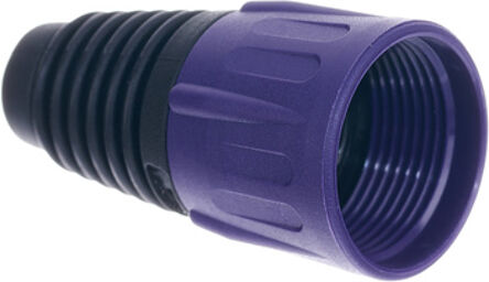 BSX Violet Violet