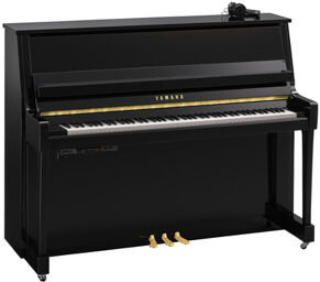 B20 SC3 PE Black polished