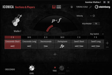 Iconica Sections & Players