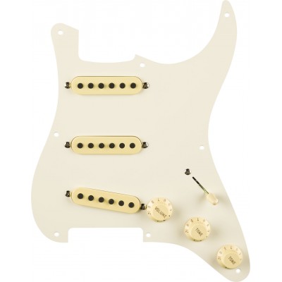 Pre-wired Strat Pickguard, Eric Sign. parchment 8 Hole Pg