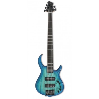 M5 Swamp Ash-4 Tbl En