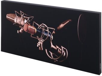 Print Panel Mic Check