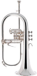 FBX-S X-Line