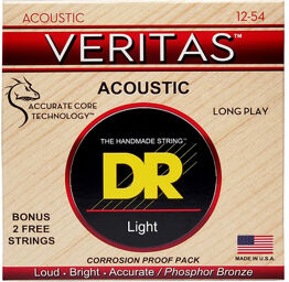 Veritas Acoustic VTA-12