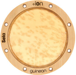 SE-ION5 Guinean Ion
