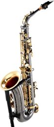 SX 90R Alto Sax Black