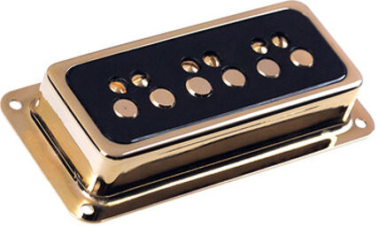 Dynasonic Gold Black Bridge