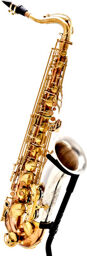 Two Voices Tenor Sax BRS