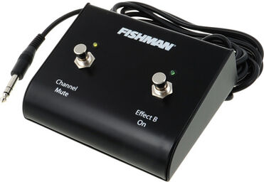 Dual Foot Switch