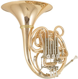 K10GA Double Horn