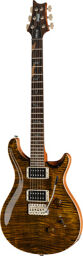 40th Anniversary Custom 24 TE Tiger Eye