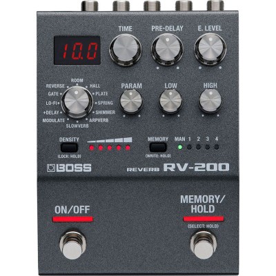 RV-200