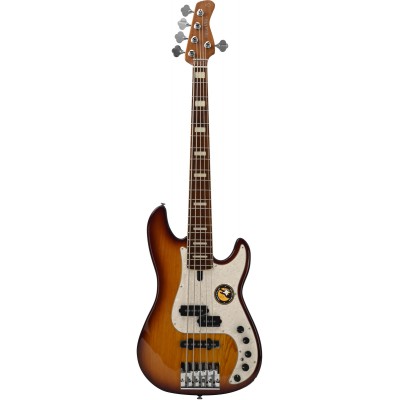 P8 Swamp Ash-5 Ts Mn + Housse