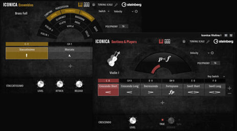 Iconica Ensembles