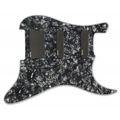 SL20-LH SL20 Steve Lukather Gaucher