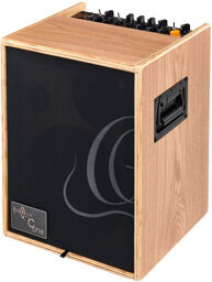 CONE-ASH Acoustic Amp Frêne naturel