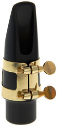 Alto Sax G-Series 6