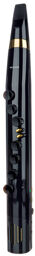Wi100 Wind Instrument Black Noir