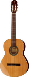 2C incl. Gig Bag Naturel