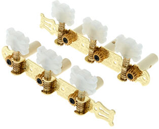 Machine Heads Classic Guitar G