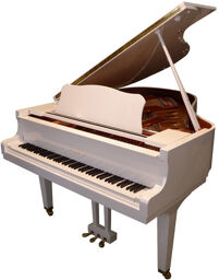 GC 2 PWH Stutzflügel Blanc poli haute brillance