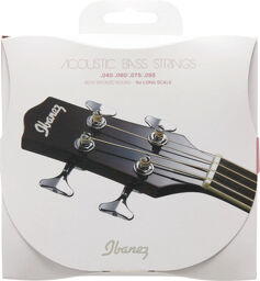 IABS4C Acoustic BassString Set