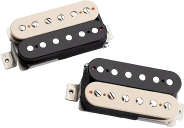 Hot Rodded 50th Anniv. Zebra Zebra