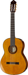CG-TA NT Transacoustic Naturel