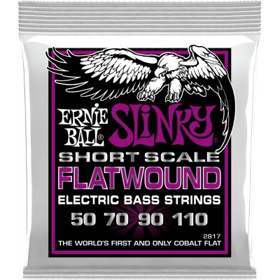 2817 Filet Plat Power Slinky Flatwound Short Scale 55-110