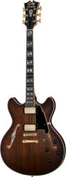 Deluxe DC Satin Brown Burst Satin Brown Burst