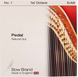 Pedal Natural Gut 1st E No.1