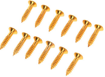 Parts Pickguard Screws Gold