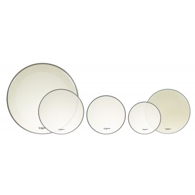 10/12/14/14/22 Alverstone Transparente Fusion Pack