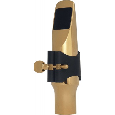 Bec Métal J25AG - Alto