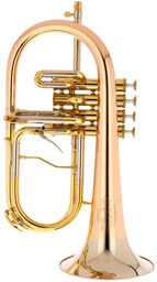 F4 RM Selected 045 160 L