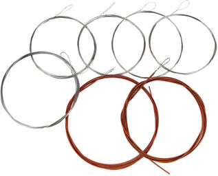 Nataraj Saraswati Veena Str.