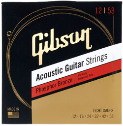 Phosphor Bronze Acoustic 12