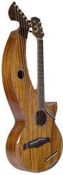 T80/20HGC 20String Harpguitar Naturel haute brillance