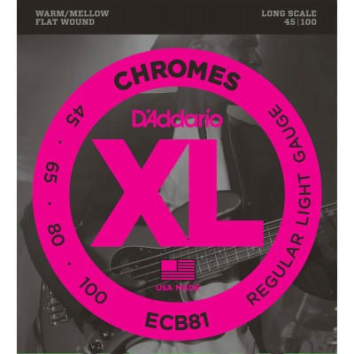 ECB81 Chromes Flatwound Long Scale Regular Light 45-100