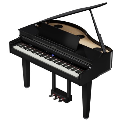 GP-6 Pe Noir Poli