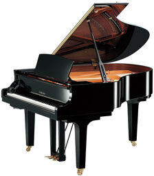 C 2 X SH3 PE Silent Grand Black polished