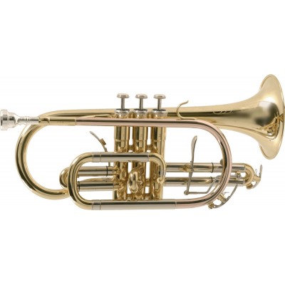 CO870-l