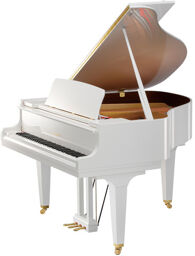 GL 10 WH/P Grand Piano