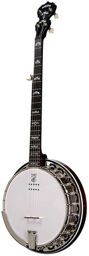 Eagle II 5-String A/E