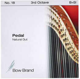Pedal Natural Gut 3rd B No.18