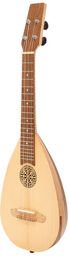 Ukulele Lute Concert