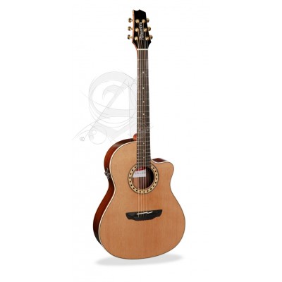 Concert Css-3 Cw E9 Crossover + 9738 25mm Housse