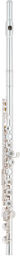 PS 101 CEF Flute