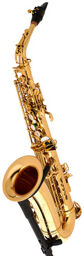 SX90R Alto Sax Gold Lacquer