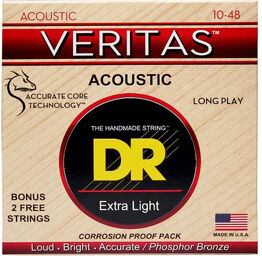 Veritas Acoustic VTA-10